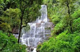 Coorg & Chikmagalur Coffee Trail