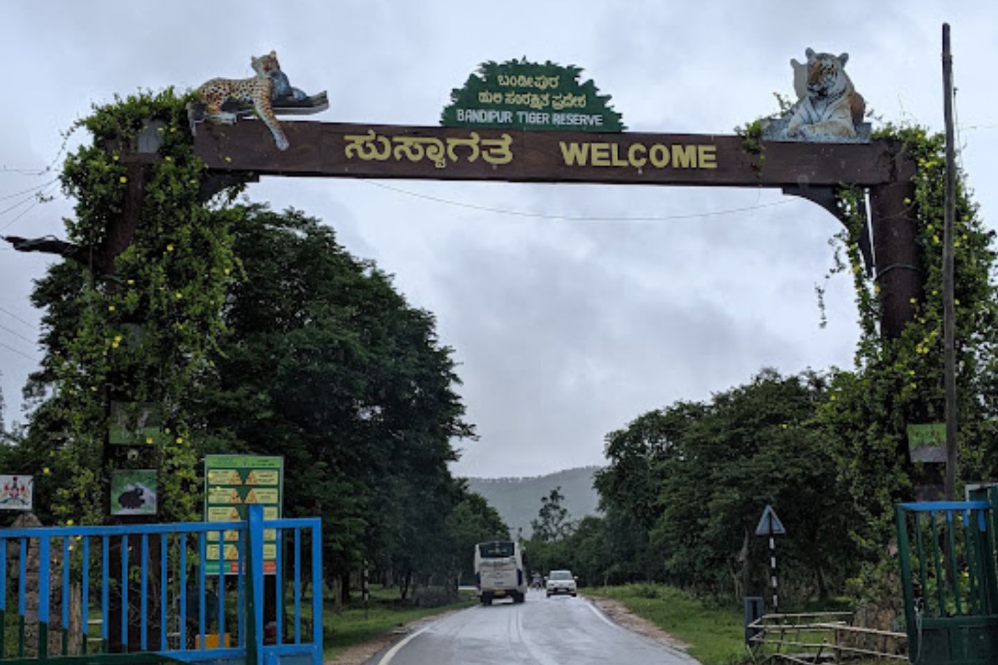 Mysore & Bandipur